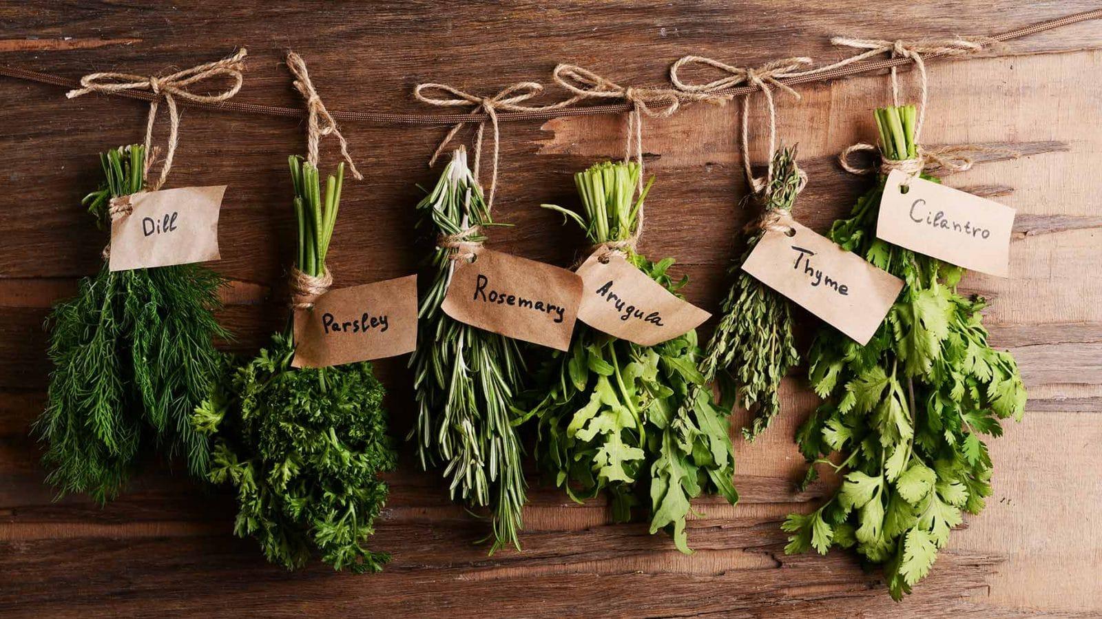 a-complete-guide-to-herbs-spices