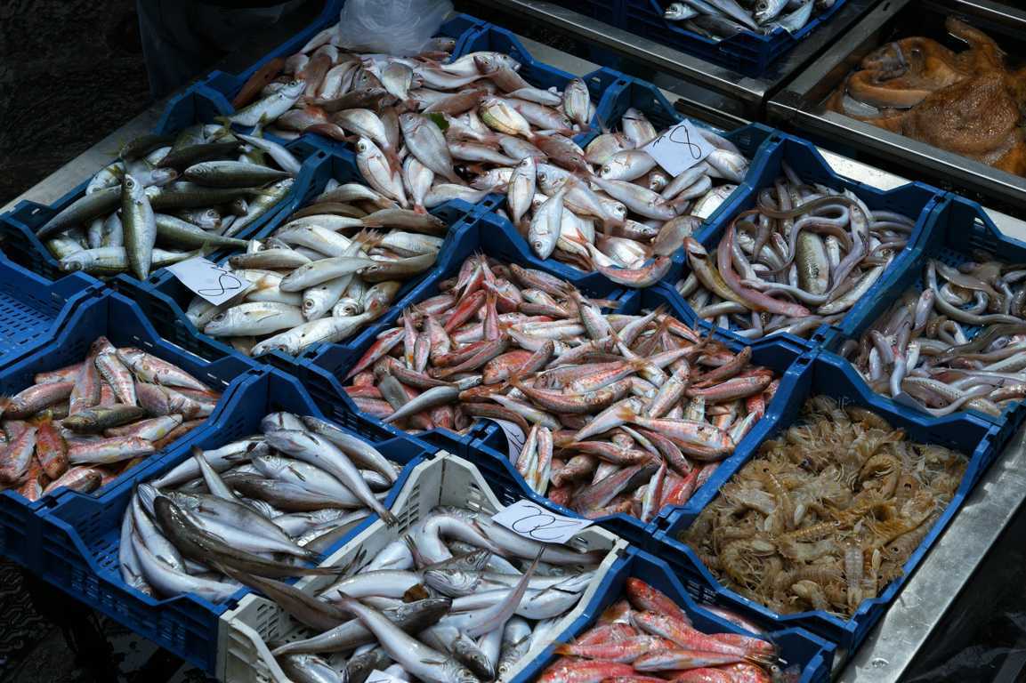 How To Buy Fresh Fish Choosing The Freshest, Most Delicious Fish