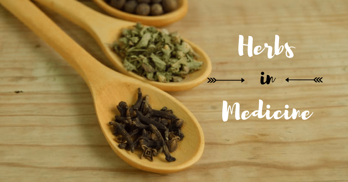 a-complete-guide-to-herbs-spices