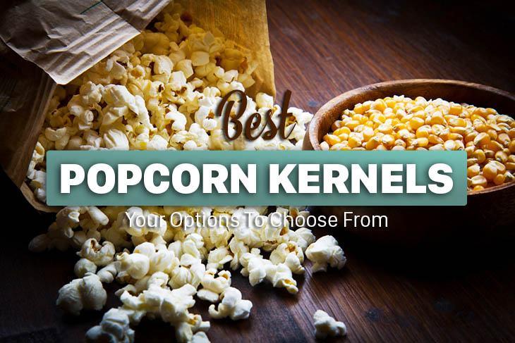 best popcorn kernels