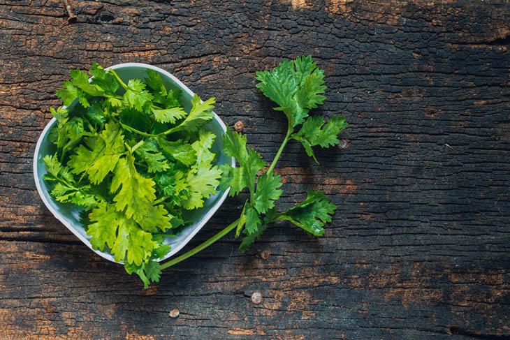cilantro-vs-parsley