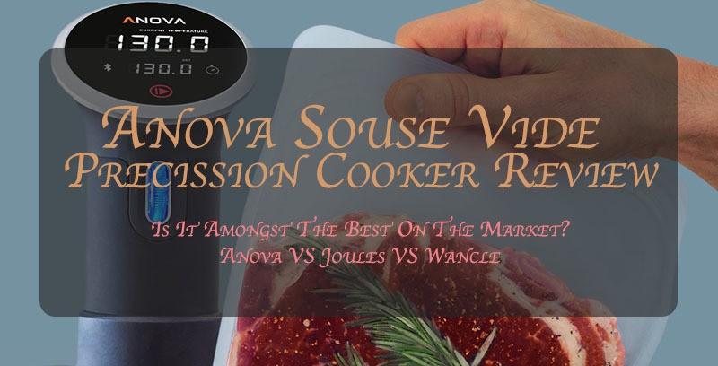 Anova Sous Vide Bluetooth Model A.K.A. Second Generation Model